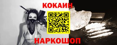 СК Новодвинск