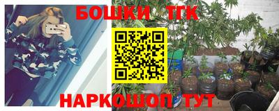 СК Новодвинск