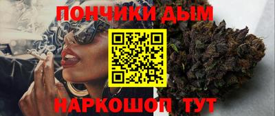 СК Новодвинск