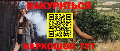 a pvp Новозыбков