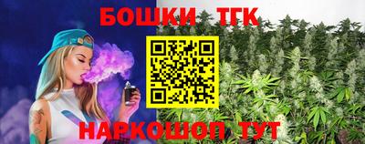 a pvp Новозыбков