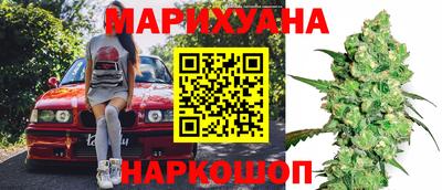 a pvp Новозыбков