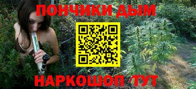 СК Новодвинск