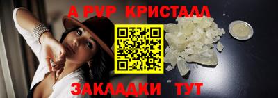 СК Новодвинск