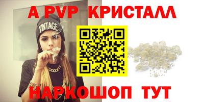 СК Новодвинск