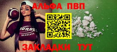 a pvp Новозыбков