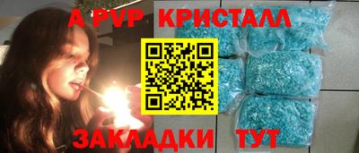 a pvp Новозыбков