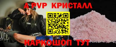 a pvp Новозыбков