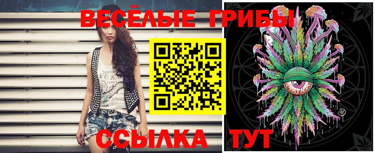 Псилоцибиновые грибы MAGIC MUSHROOMS Чусовой