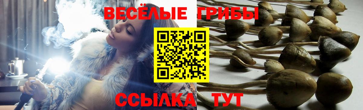 Чусовой  Псилоцибиновые грибы мицелий  Вход с VPN 